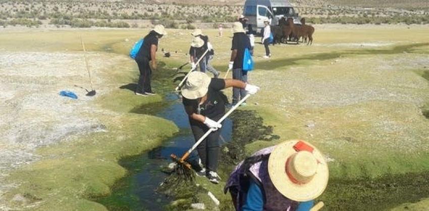 Alto Tarapacá: El proyecto que busca recuperar fuentes de agua para pueblos originarios