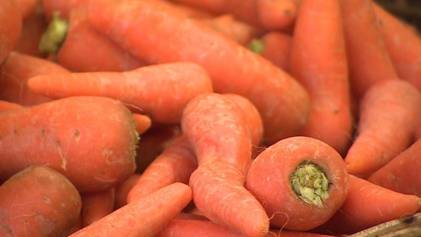 [VIDEO] Subieron las zanahorias: El kilo llega los $1.600 en la región Metropolitana