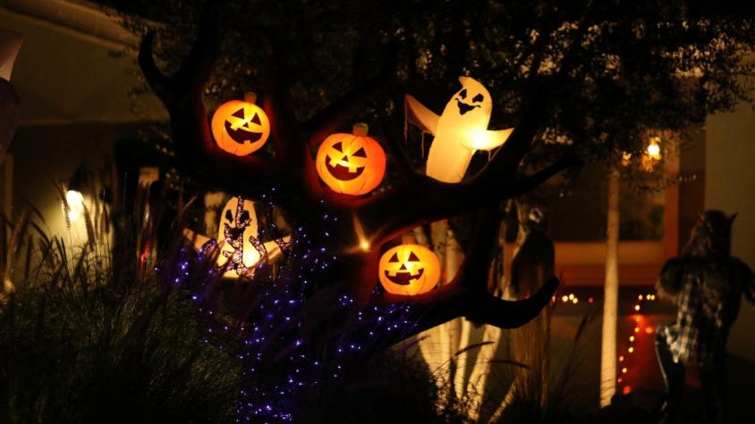 Halloween: ¿De dónde viene el origen de la celebración y por qué nos gusta tanto sentir miedo?