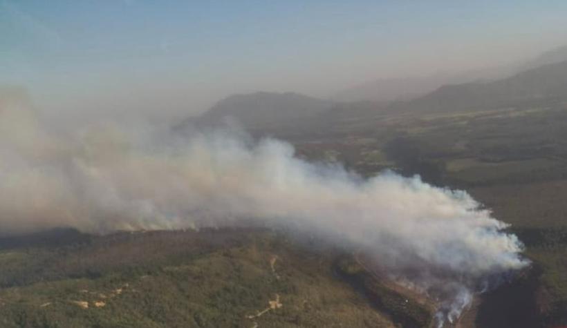 Onemi declara alerta roja por incendio forestal en Molina: Al menos 40 hectáreas han sido quemadas