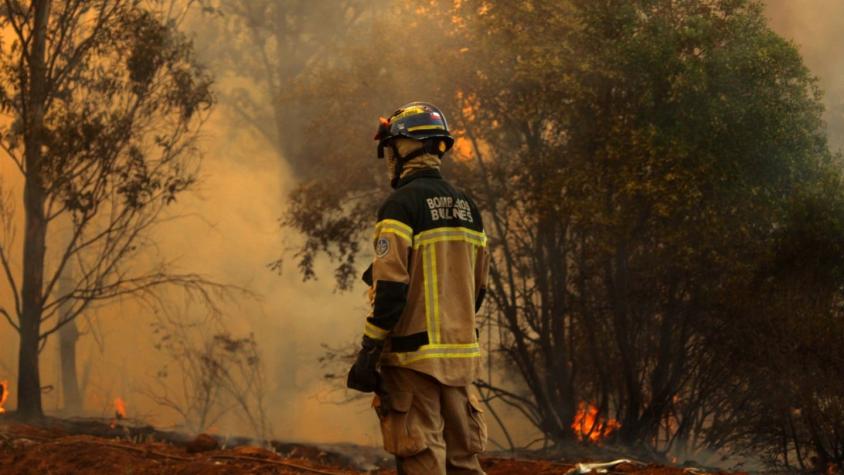 Mantienen alerta roja en seis comunas por incendios forestales: ocho viviendas afectadas en Paine