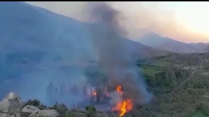 [VIDEO] Incendio forestal destruye al menos 30 casas