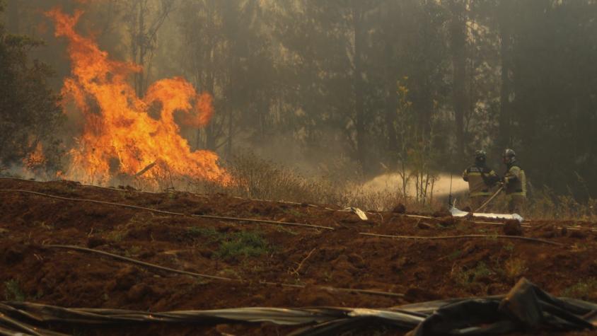 Pronóstico de Conaf por incendios forestales: "Va a ser una temporada donde vamos a tener muchos"