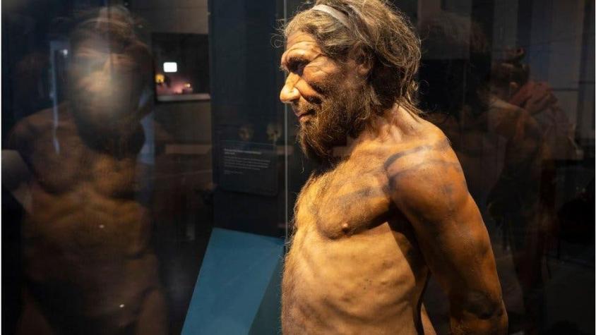 ¿La violencia o el sexo?: La investigación que busca descifrar qué acabó con los neandertales