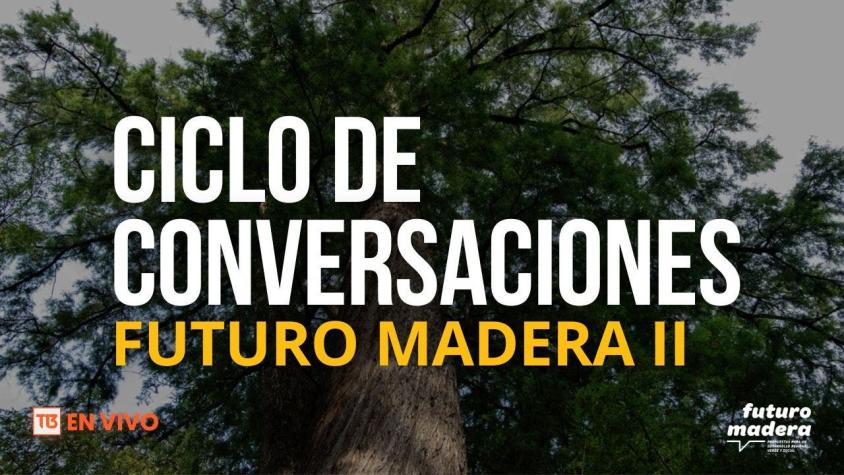 Ciclo de conversaciones Futuro Madera | Madera innovación y diversidad