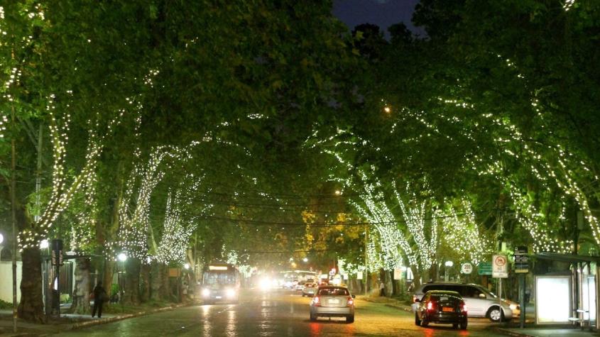 Providencia aprueba licitar iluminación navideña por 3 años: Contempla un costo de $545 millones
