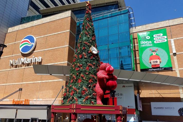 Dos detenidos dejó robo frustrado a tienda de tecnología del mall de Viña del Mar