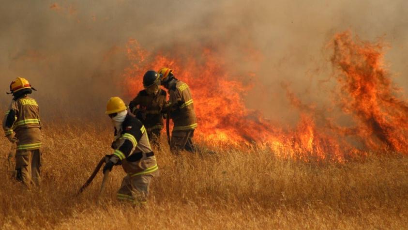 Declaran Alerta Temprana Preventiva para la Región Metropolitana por amenaza de incendios forestales