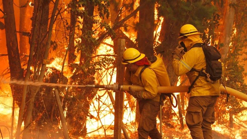 Cercano a sectores habitados: Declaran Alerta Roja por incendio forestal en Melipilla