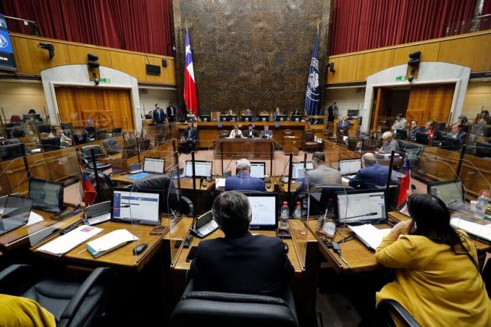 Senado aprueba extender posnatal de emergencia hasta diciembre y se despacha el proyecto