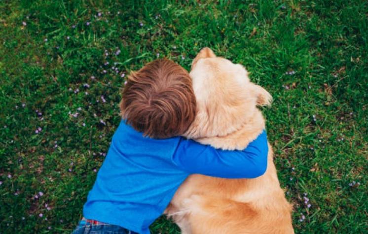 Niño pide ayuda para perritos en vez de regalos para su cumpleaños: "Quiero que otros tengan hogar"