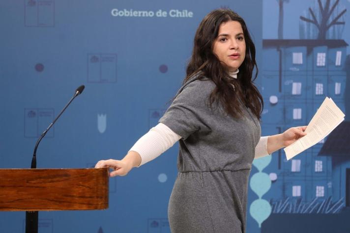 Por qué Antonia Orellana es la ministra peor evaluada del gabinete