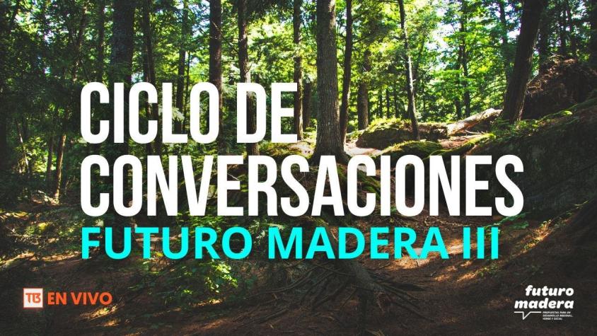 Ciclo de conversaciones Futuro Madera | Madera y desarrollo social