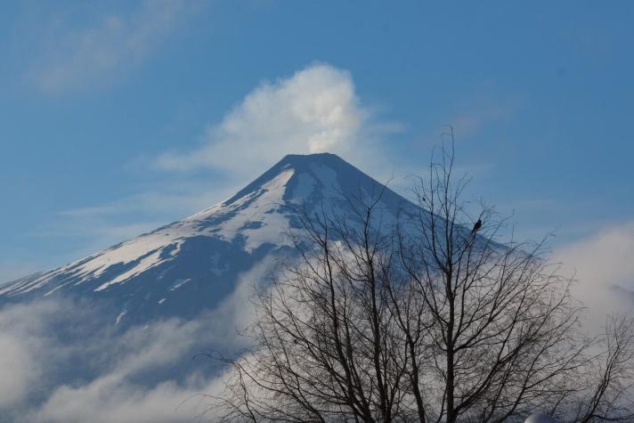 [VIDEO] Alerta amarilla de volcán Villarrica preocupa al turismo