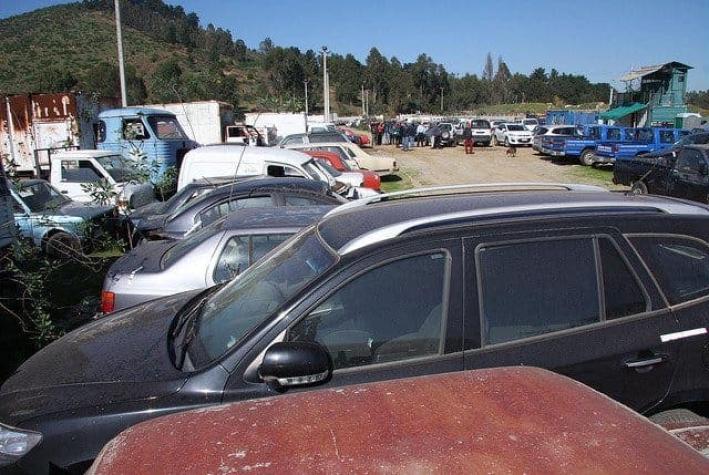 Viña del Mar: 430 vehículos serán rematados para despejar parqueadero municipal