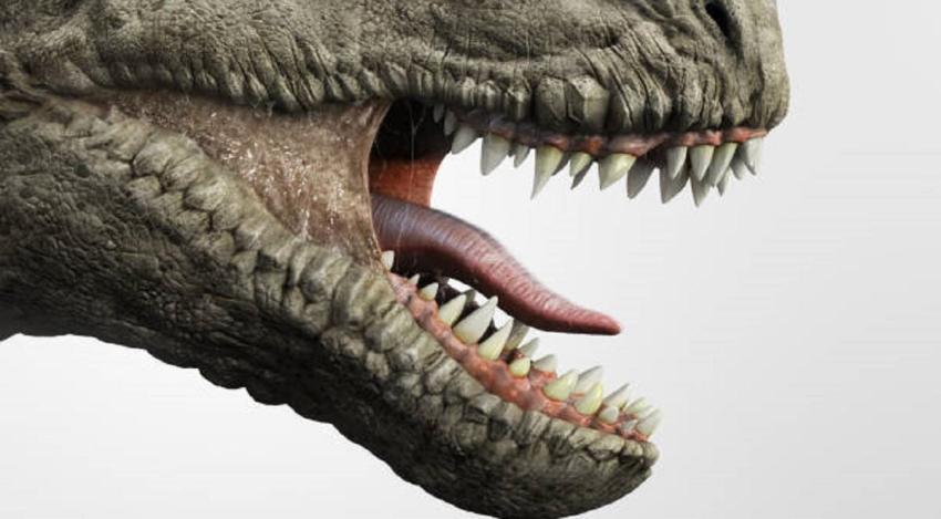 Encuentran en China fósil de dinosaurio de hace 120 millones de años: Tenía una rana en su estómago