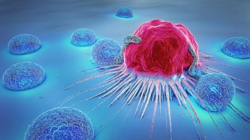 Descubren a células malignas del cáncer causantes de muertes por metástasis