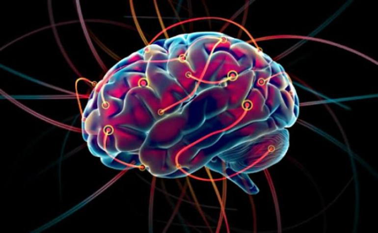 Estudio afirma que sería posible 'rejuvenecer' el cerebro