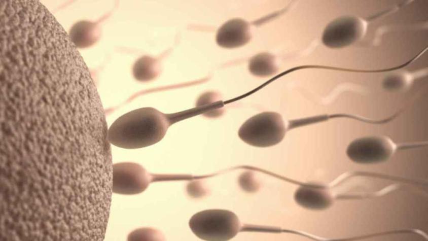 Estudio aseguró que la calidad del esperma humano es cada vez peor