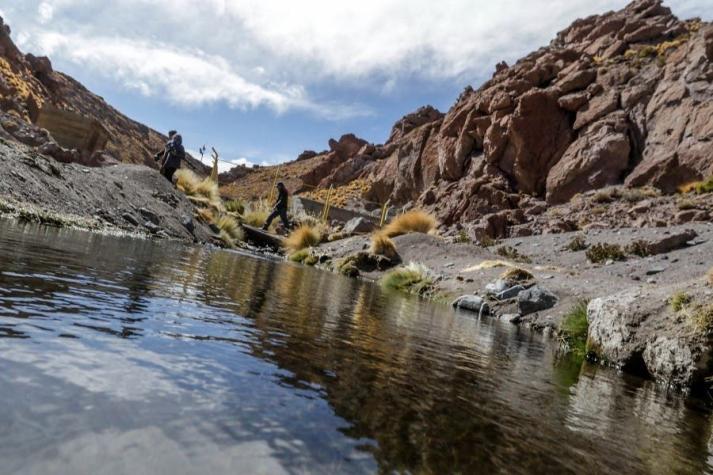 "El curso del río Silala es internacional": La Haya da la razón a Chile en demanda contra Bolivia