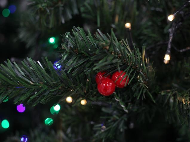Qué día se arma el árbol de Navidad según la tradición (y cuándo se quita)
