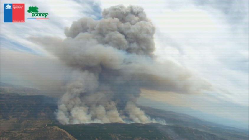 Onemi ordenó evacuar dos sectores en Santa Cruz por incendio forestal
