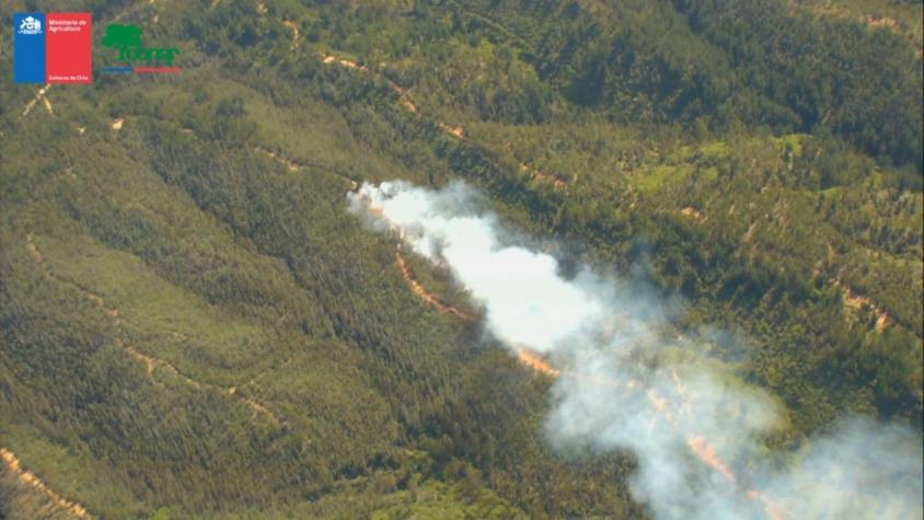 Alerta roja para Valparaíso por incendio forestal: Presenta proyección a la Ruta 68