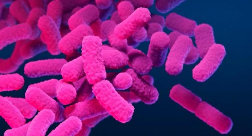 OMS avisa de creciente resistencia de bacterias infecciosas