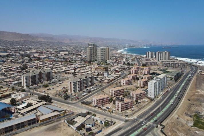 Declaran Alerta Temprana Preventiva por "Influenza Aviar" en Región de Antofagasta