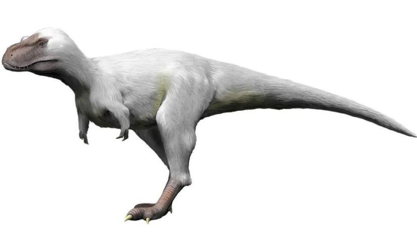 Cómo eran los dinosaurios polares y por qué desafían lo que pensábamos sobre estos animales