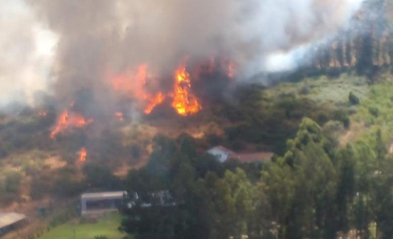 Incendio forestal en Quillota: Hay 20 viviendas en peligro de ser quemadas