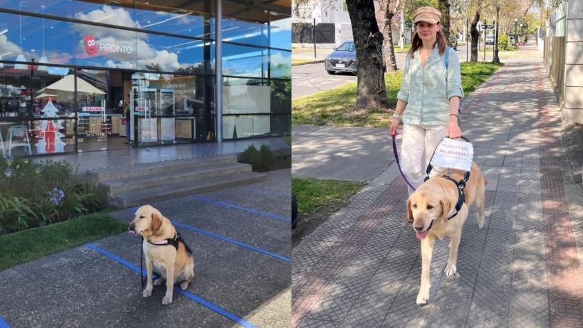 Mujer con discapacidad visual denuncia que no dejaron entrar a su perro guía a bencineras
