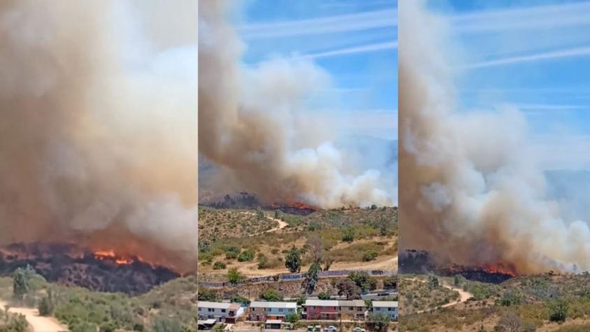 Incendio se registra en Jardín Botánico de Viña del Mar: Onemi declara alerta roja