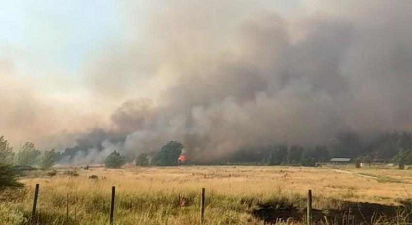 [MInuto a minuto] Incendios forestales: Al menos cuatro sectores evacuados en Melipilla