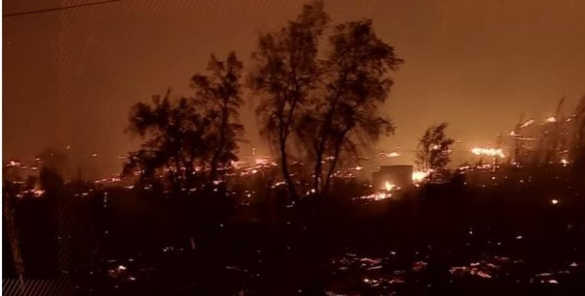 [VIDEO] Reportajes T13: Temporada de incendios, "Santa Olga" no será el último en ser arrasado