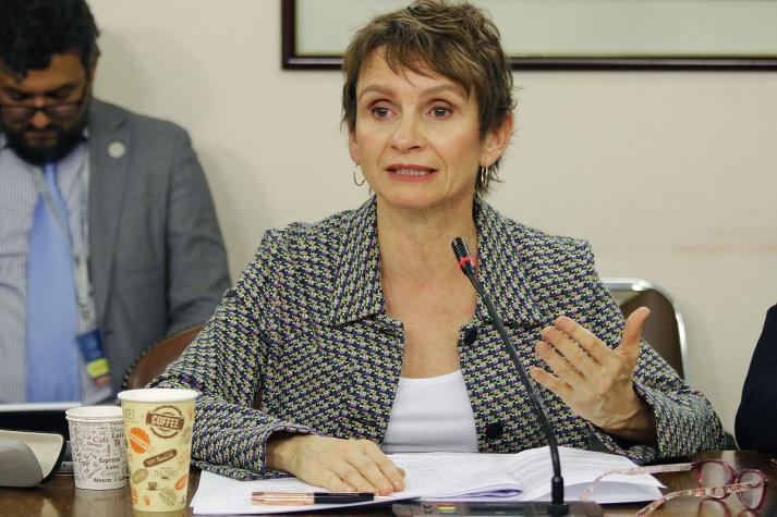 Ministra Carolina Tohá hace llamado a seguir indicaciones de autoridades ante incendios forestales
