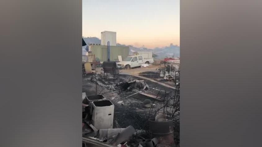 Así quedó el lugar afectado por el incendio forestal en Melipilla