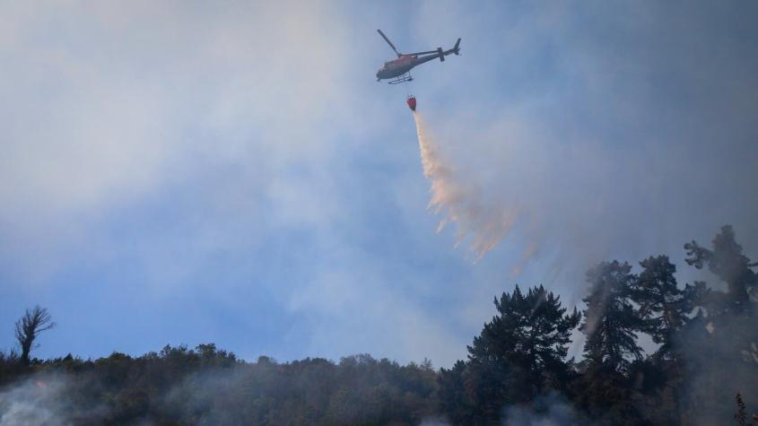 Conaf apunta que incendio forestal en Viña del Mar habría sido intencional
