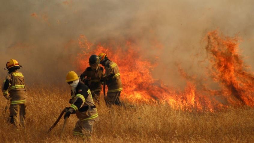 Qué son las pavesas y por qué dificultan el combate de los incendios forestales