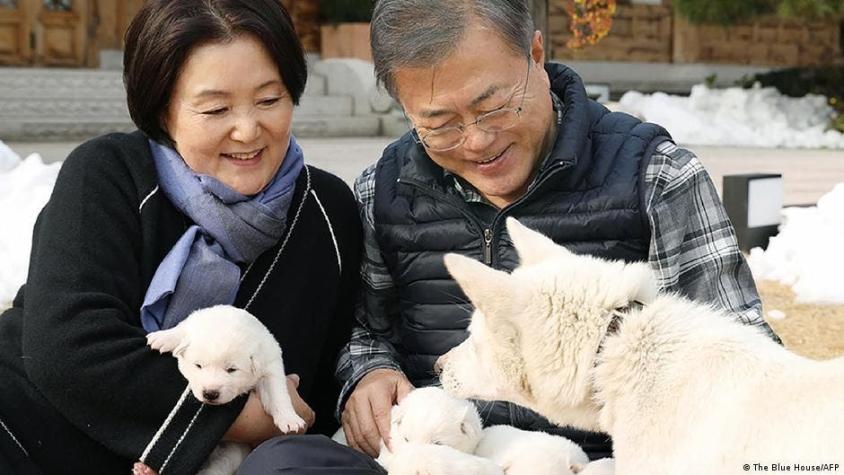 Perros regalados por Kim Jong Un a Corea del Sur acaban en un zoológico