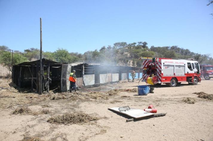 Hombre murió tras rescatar a su vecino durante incendio forestal en Melipilla