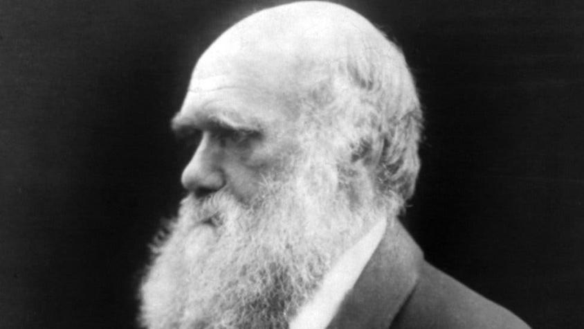 Qué dice el inédito manuscrito firmado por Darwin que acaba de ser subastado por un precio récord