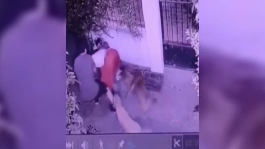 Insólito: Intentó agredir a perros con una pistola en Puente Alto y el karma actuó