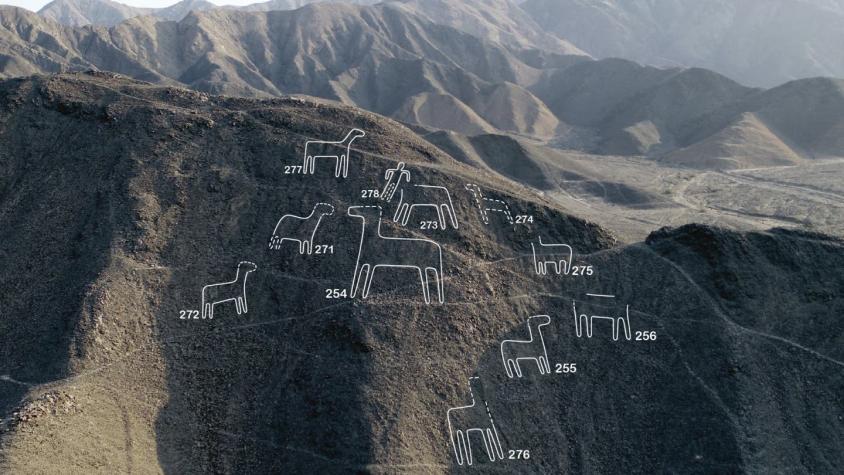 Líneas de Nazca: las 168 nuevas figuras descubiertas junto a este patrimonio de la humanidad