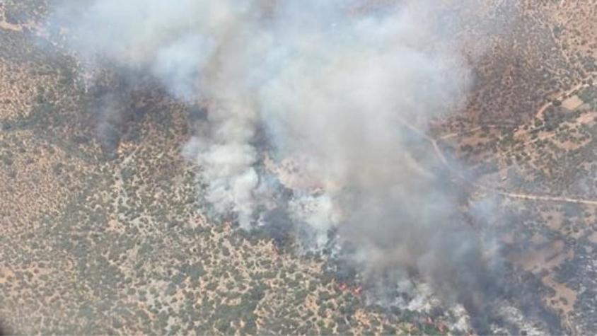 Alerta roja para Curacaví por incendio forestal: Se desarrolla cercano a sectores poblados