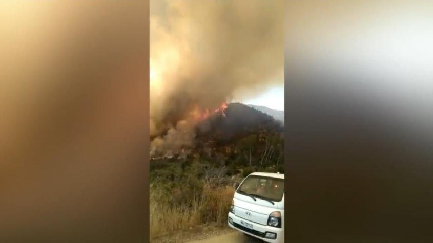 VIDEO | Las impactantes imágenes que deja el incendio forestal en Curacaví