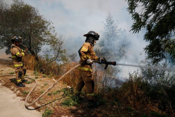 Onemi solicitó evacuar cuatro sectores de Santo Domingo por incendio forestal