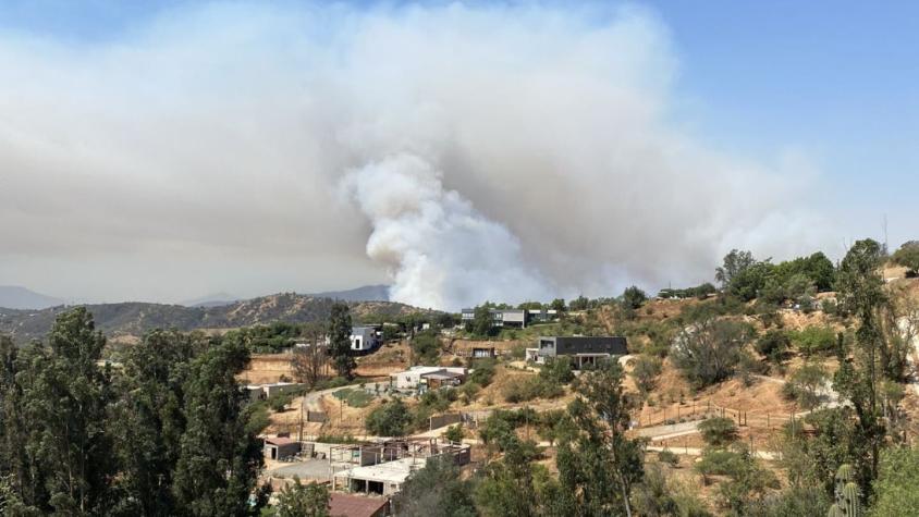 Onemi declara alerta roja en Villa Alemana por incendio forestal
