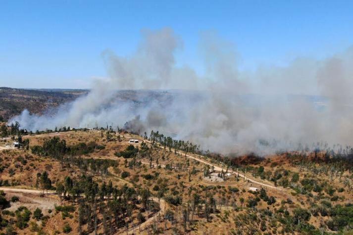 Onemi pide evacuar cinco sectores de Quilpué por incendio forestal