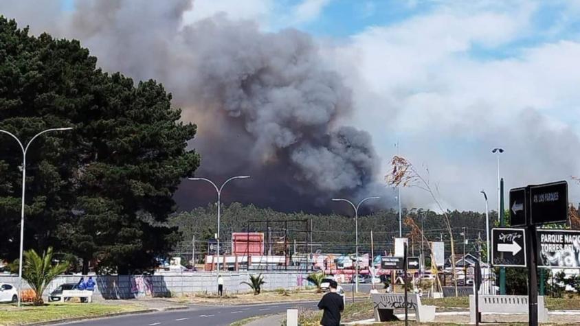 Alerta roja en San Pedro de La Paz por incendio forestal: Realizan evacuaciones preventivas